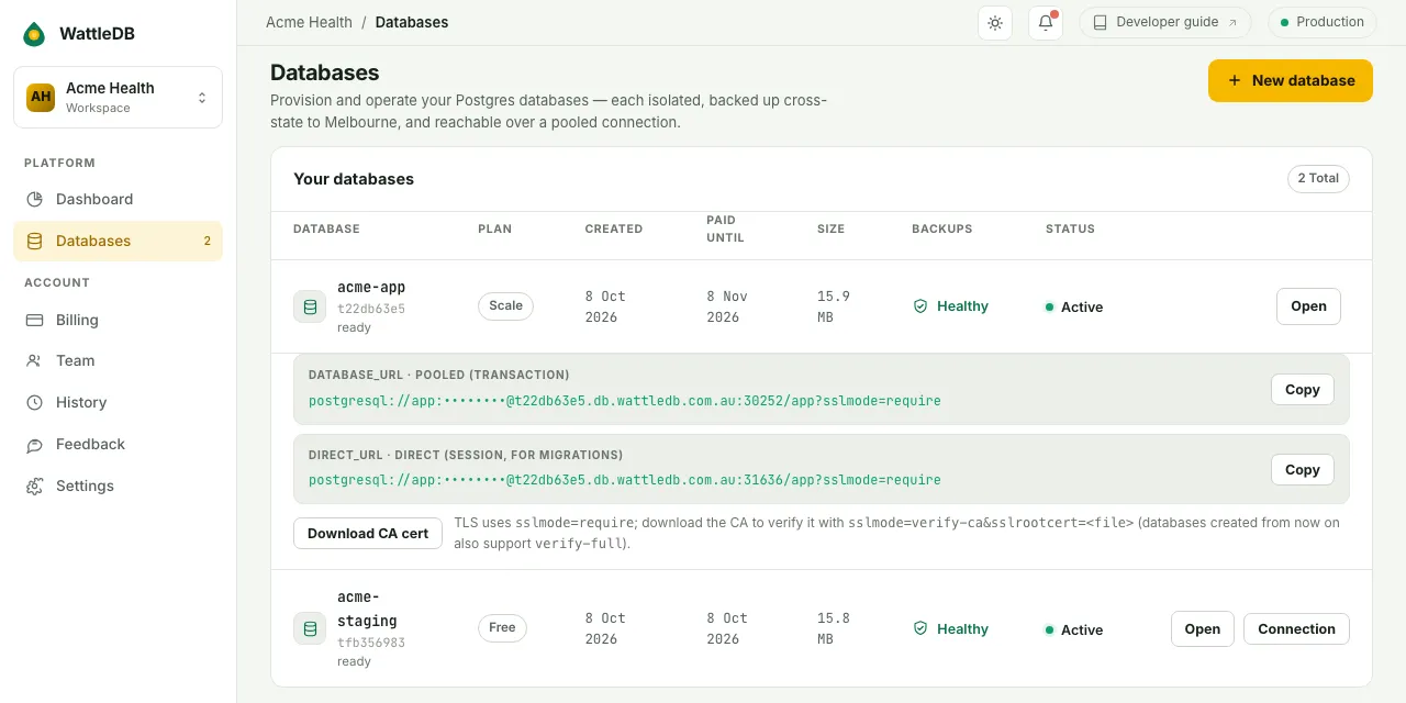 The connection details for acme-app, showing the pooled and direct connection strings with the password hidden.