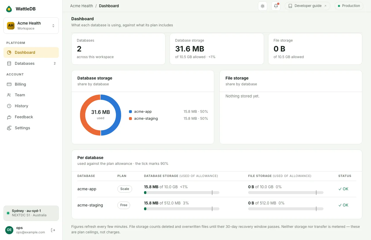 The Dashboard showing storage used by each database against its plan allowance.