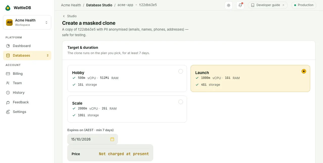 The Masked clone page for a Scale database, with Launch selected and the price shown as Not charged at present.