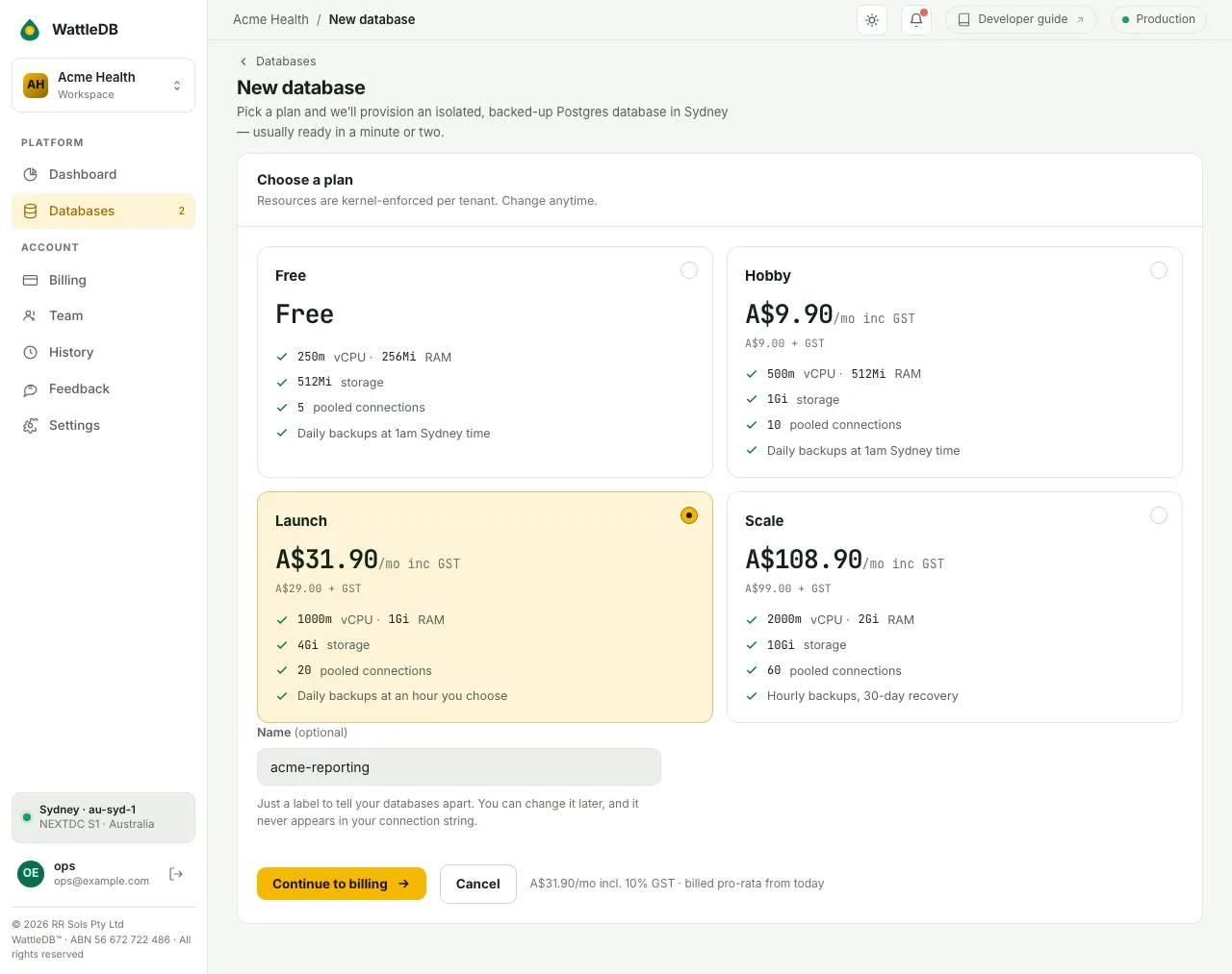 The New database page with four plan cards, Launch selected, and the name acme-reporting entered.