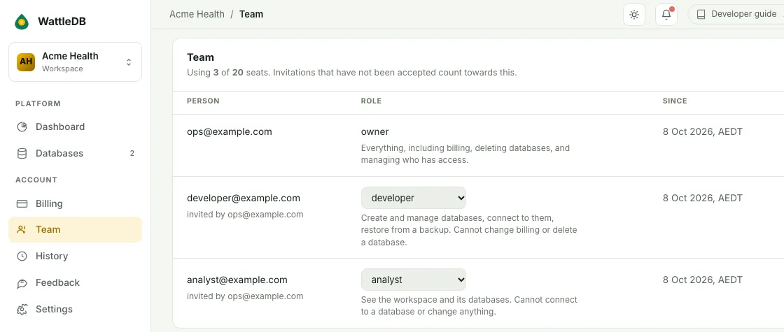 The Team page listing an owner, a developer and an analyst, with 3 of 20 seats used.